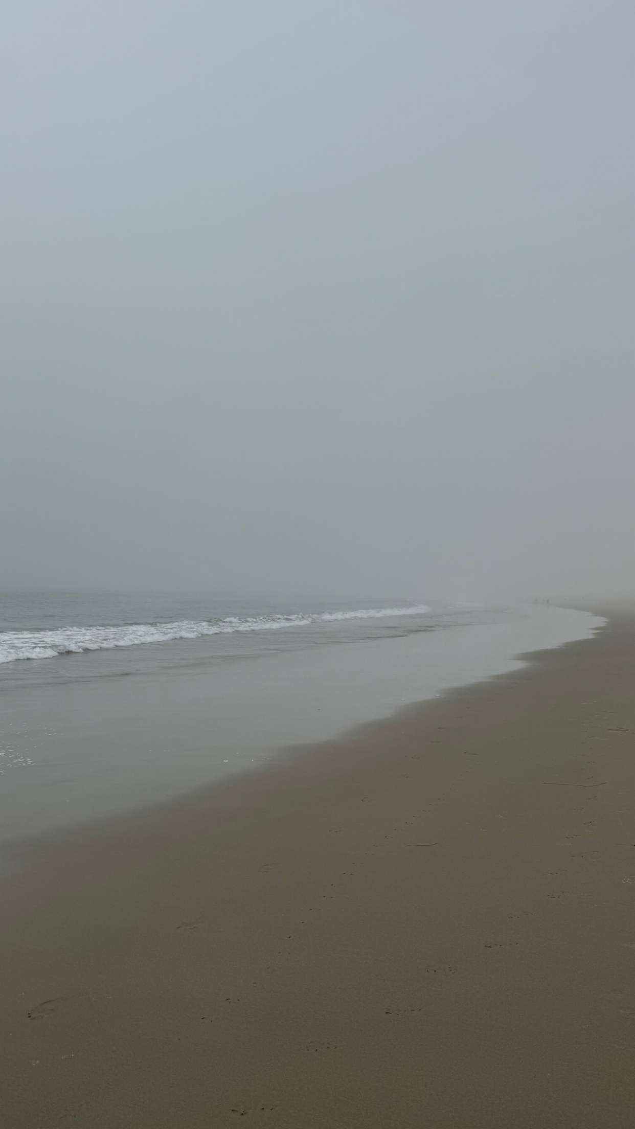 chloerosenbaum snapchat image archive image