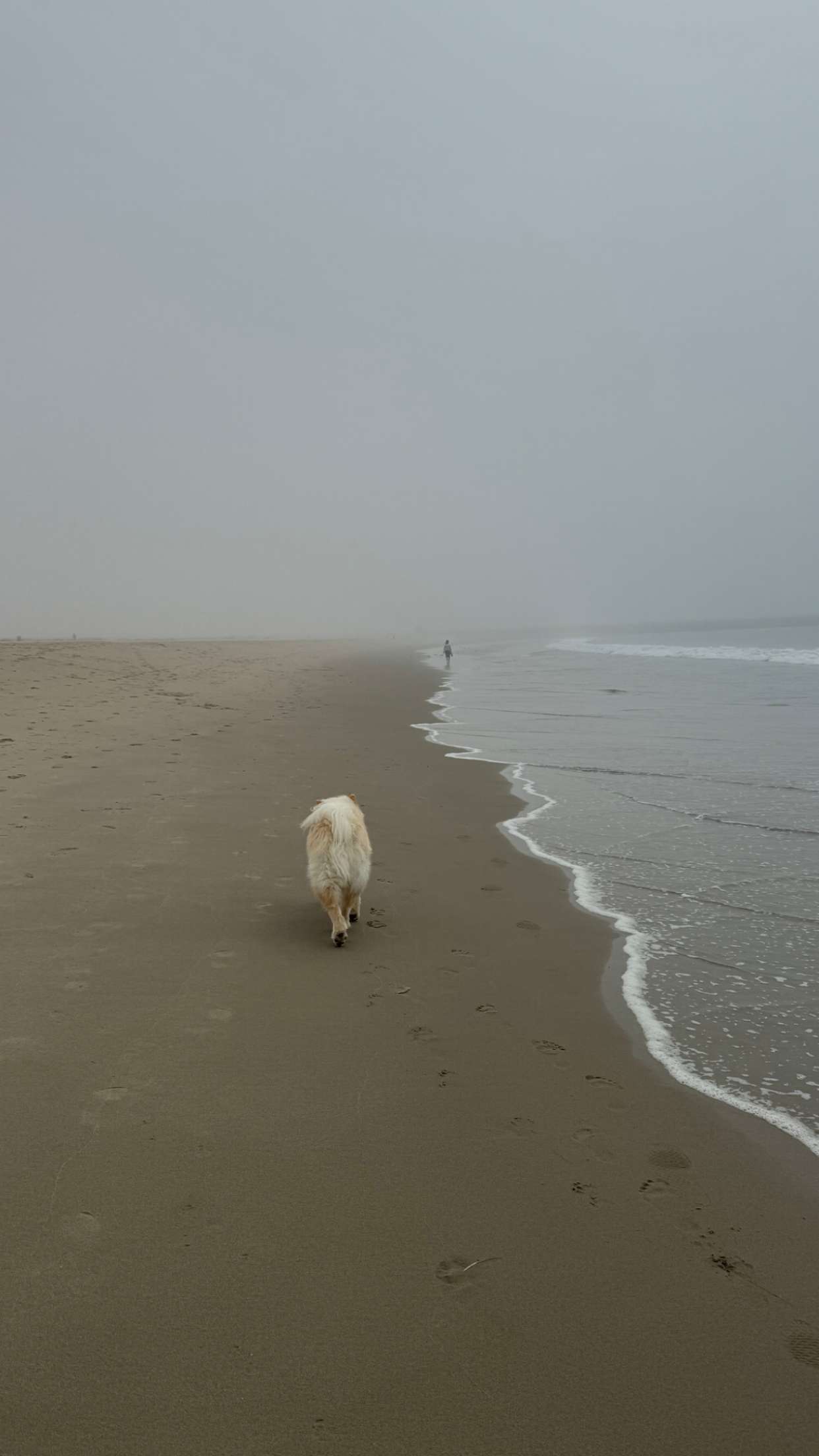 chloerosenbaum snapchat image archive image