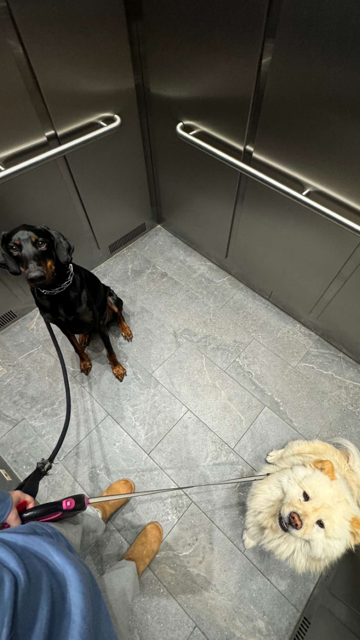 chloerosenbaum snapchat image archive image