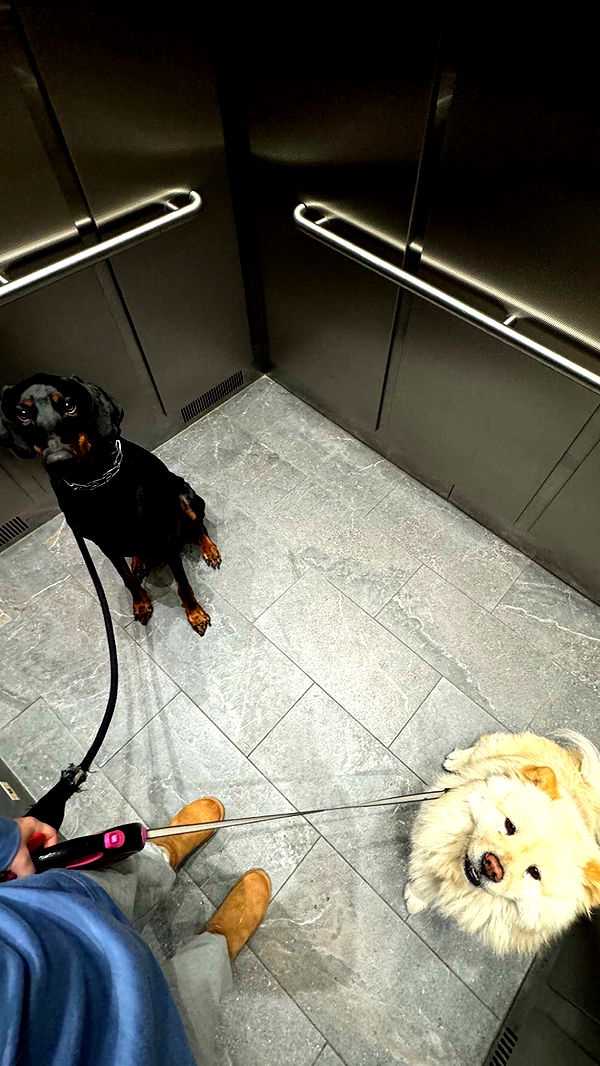 chloerosenbaum image ~ Altpins