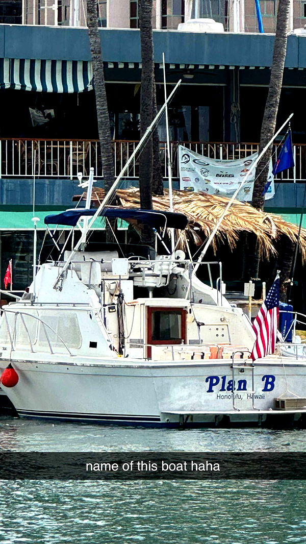 chloerosenbaum image ~ Altpins