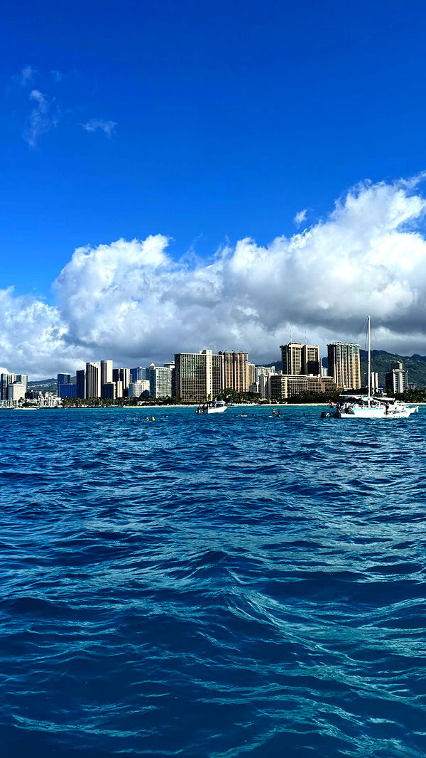 chloerosenbaum image ~ Altpins