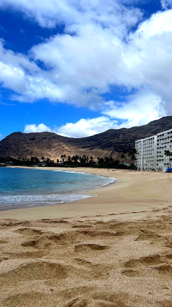 chloerosenbaum image ~ Altpins