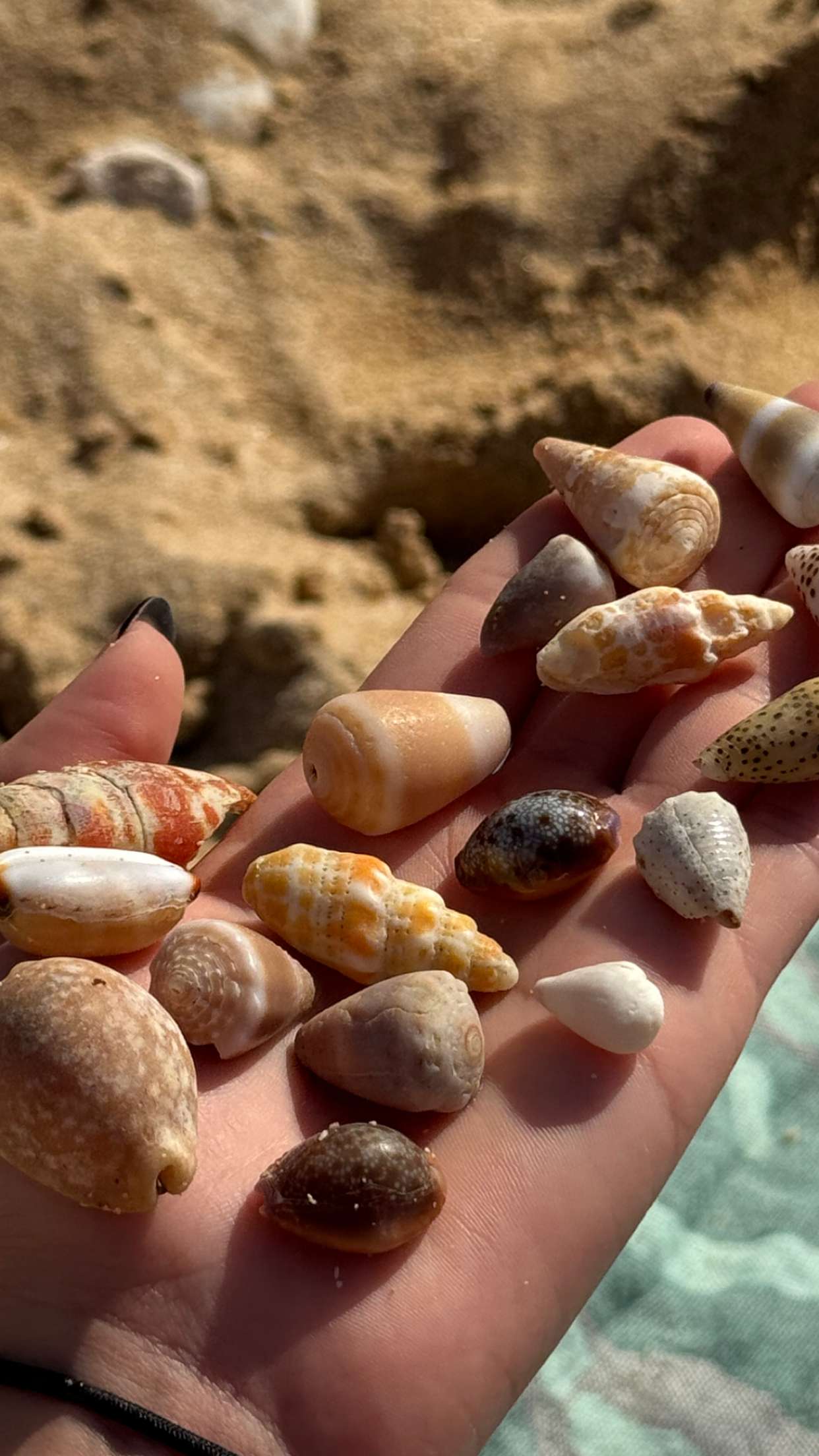 chloerosenbaum snapchat image archive image