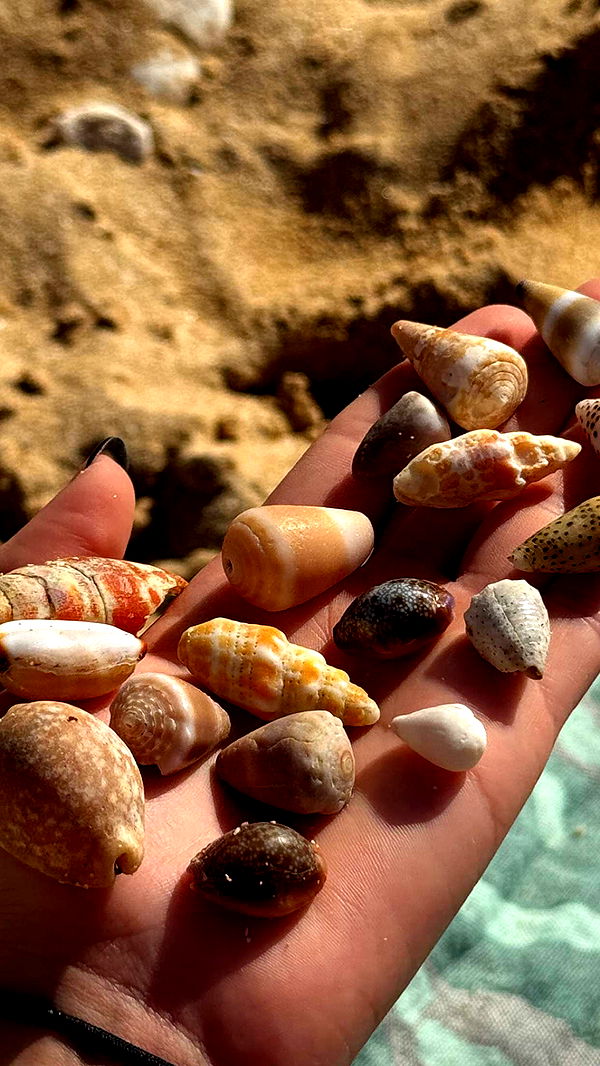 chloerosenbaum image ~ Altpins