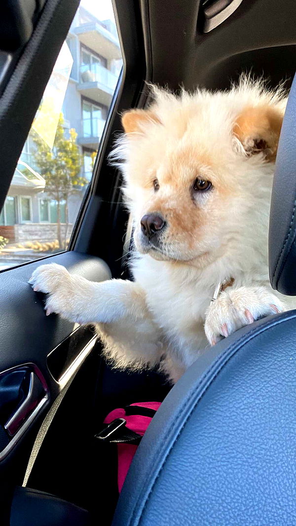 chloerosenbaum image ~ Altpins