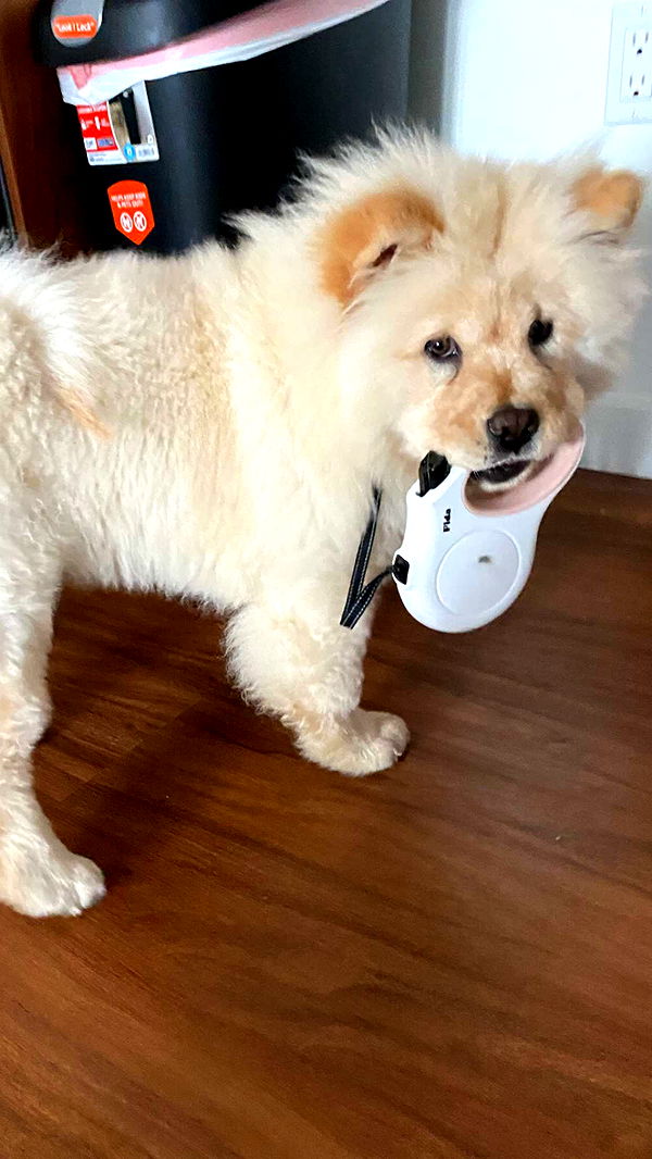 chloerosenbaum image ~ Altpins