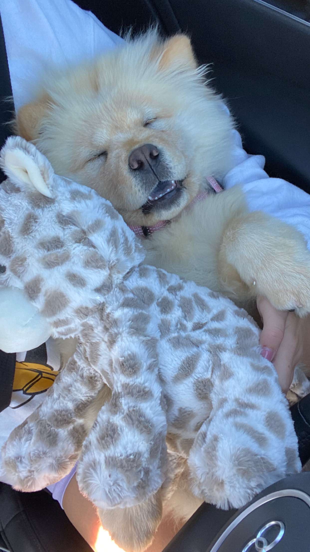 chloerosenbaum snapchat image archive image