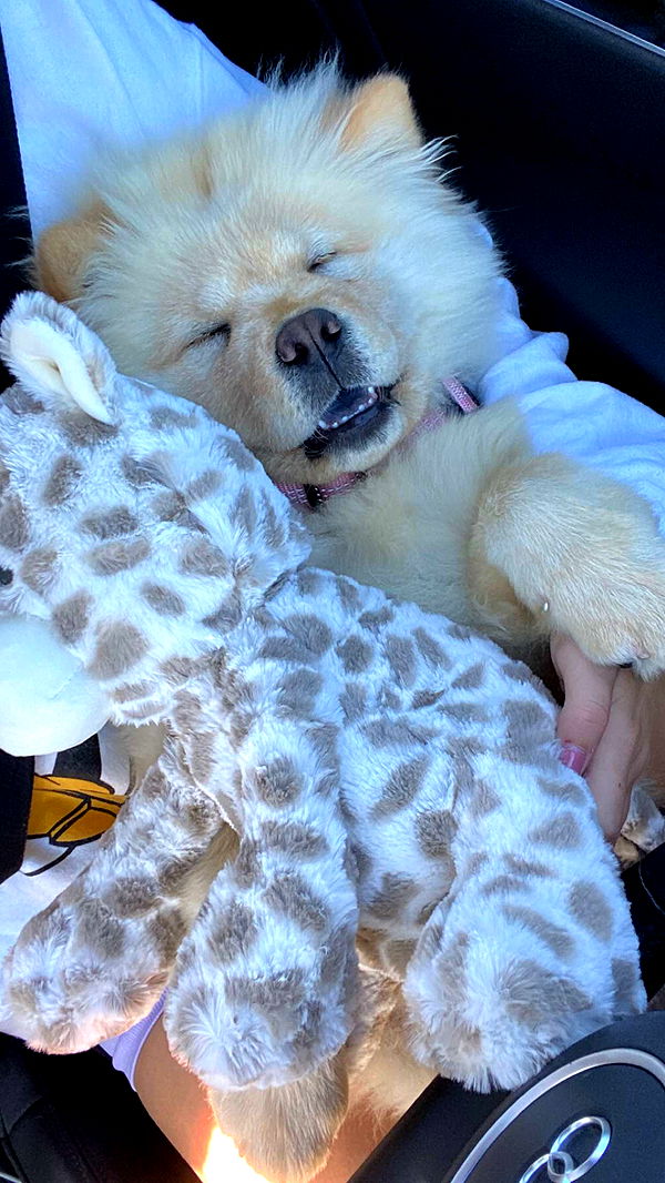 chloerosenbaum image ~ Altpins