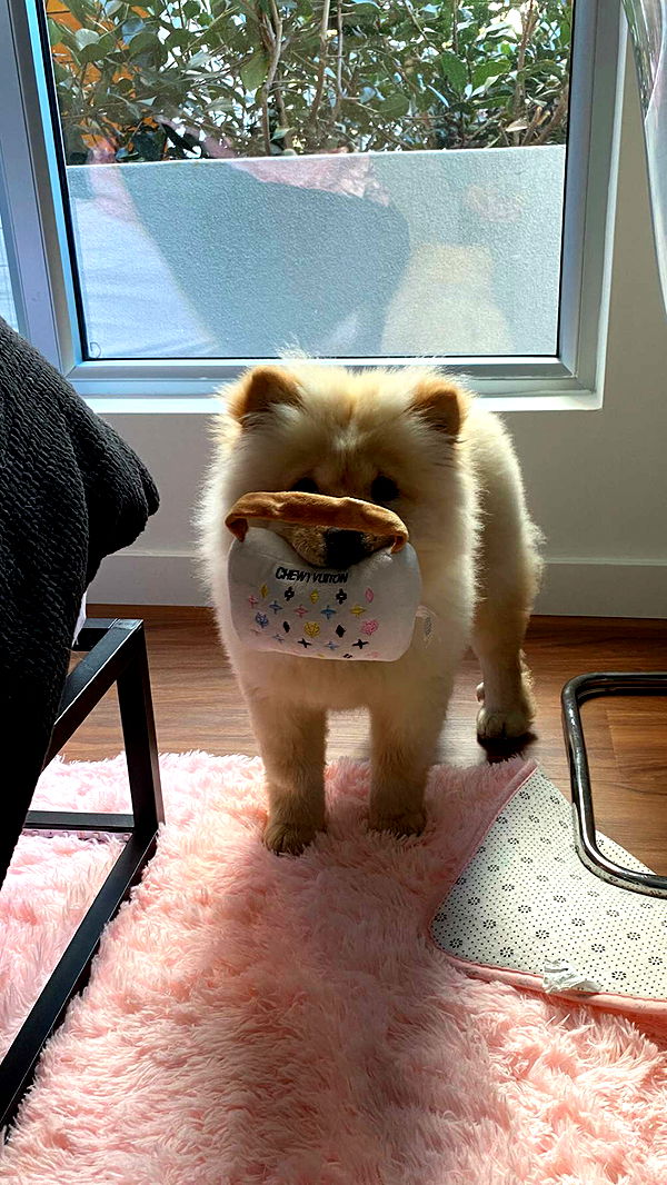 chloerosenbaum image ~ Altpins