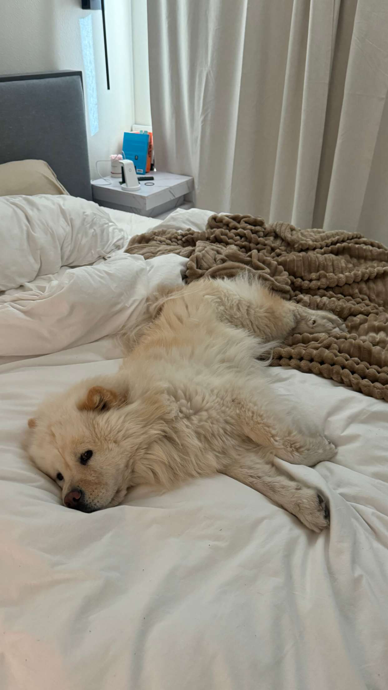 chloerosenbaum snapchat image archive image