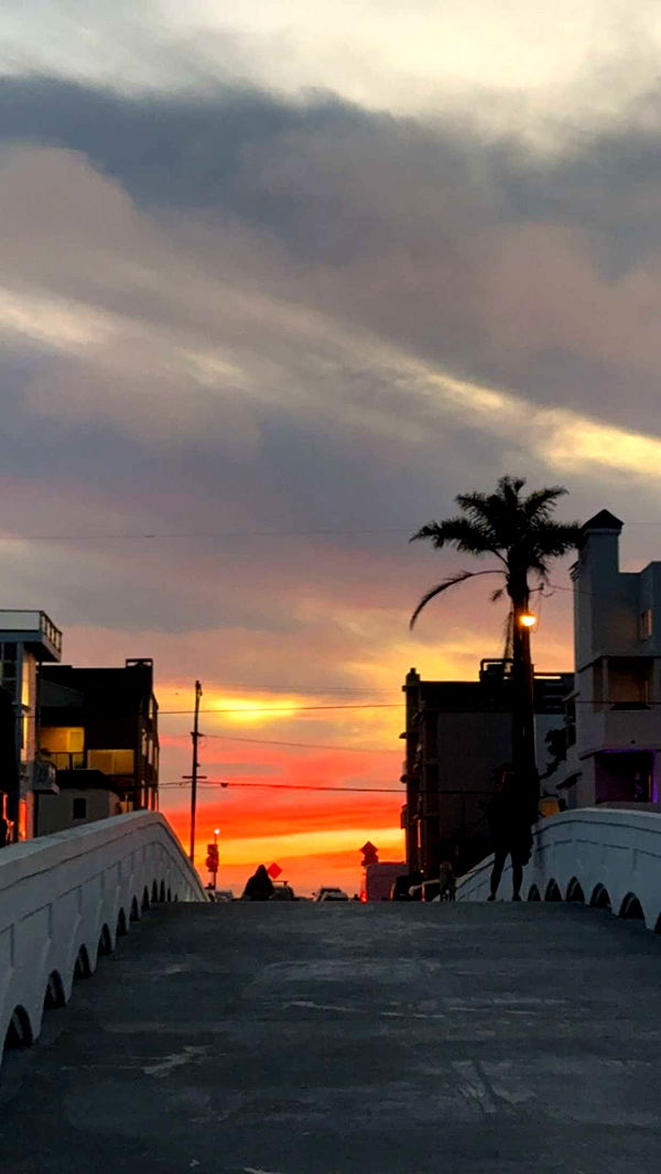 chloerosenbaum image ~ Altpins