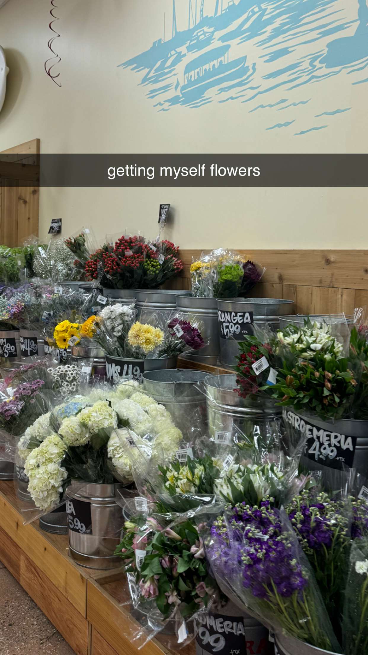 chloerosenbaum snapchat image archive image