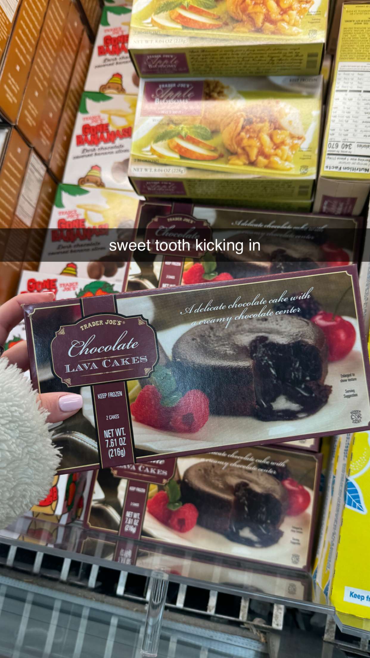 chloerosenbaum snapchat image archive image