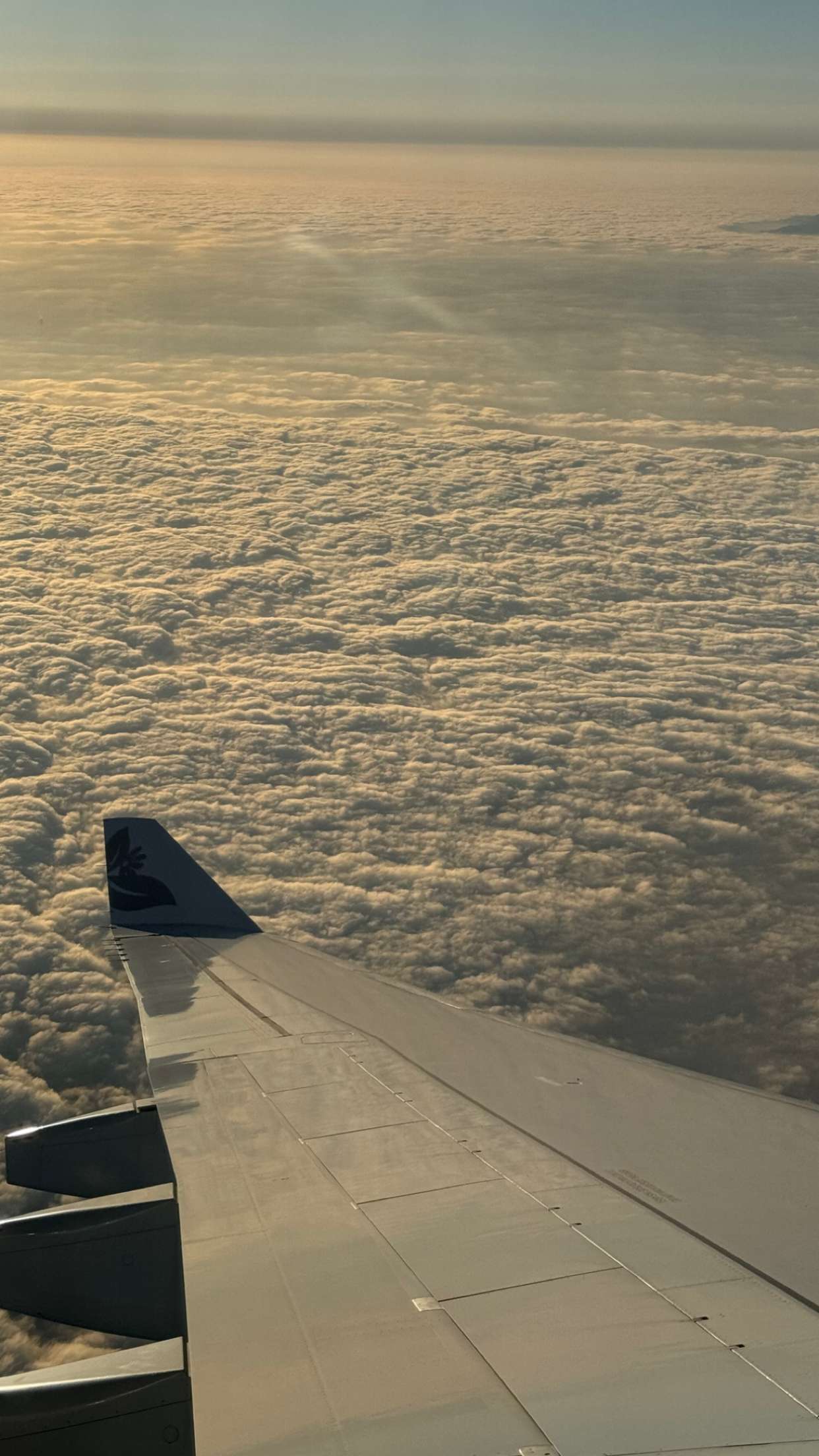 chloerosenbaum snapchat image archive image