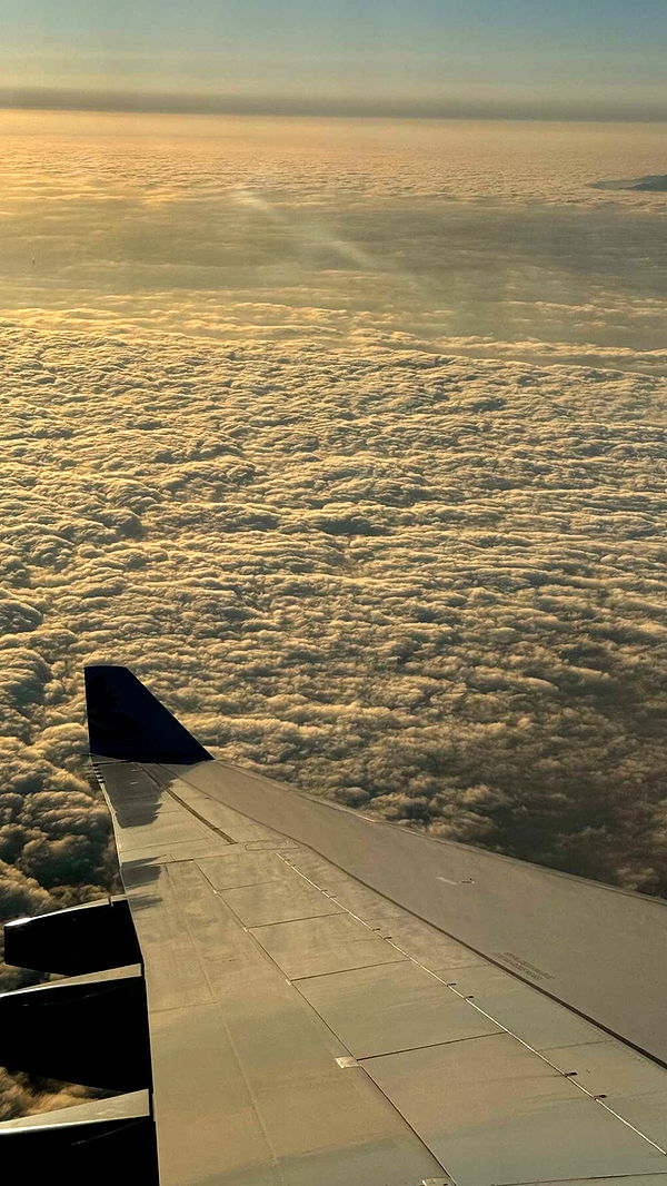 chloerosenbaum image ~ Altpins