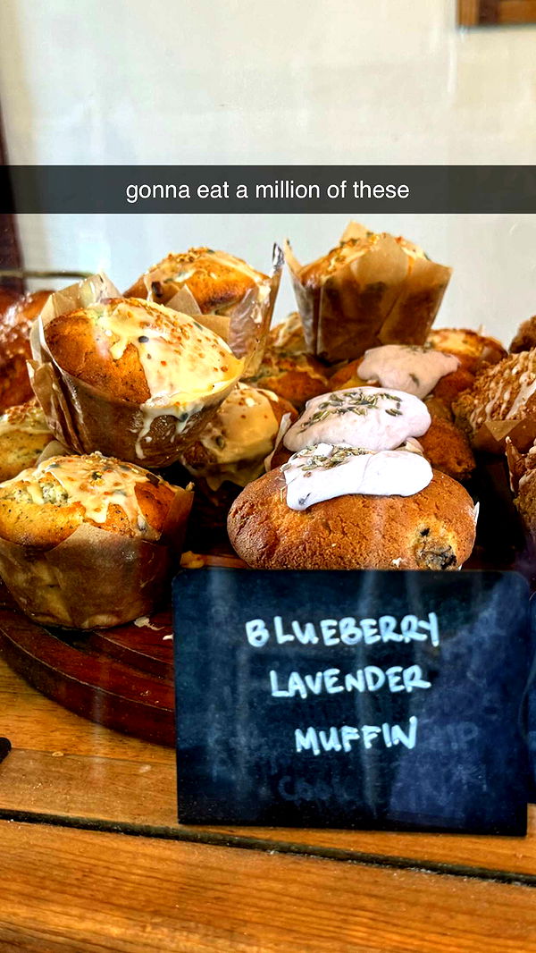 chloerosenbaum image ~ Altpins