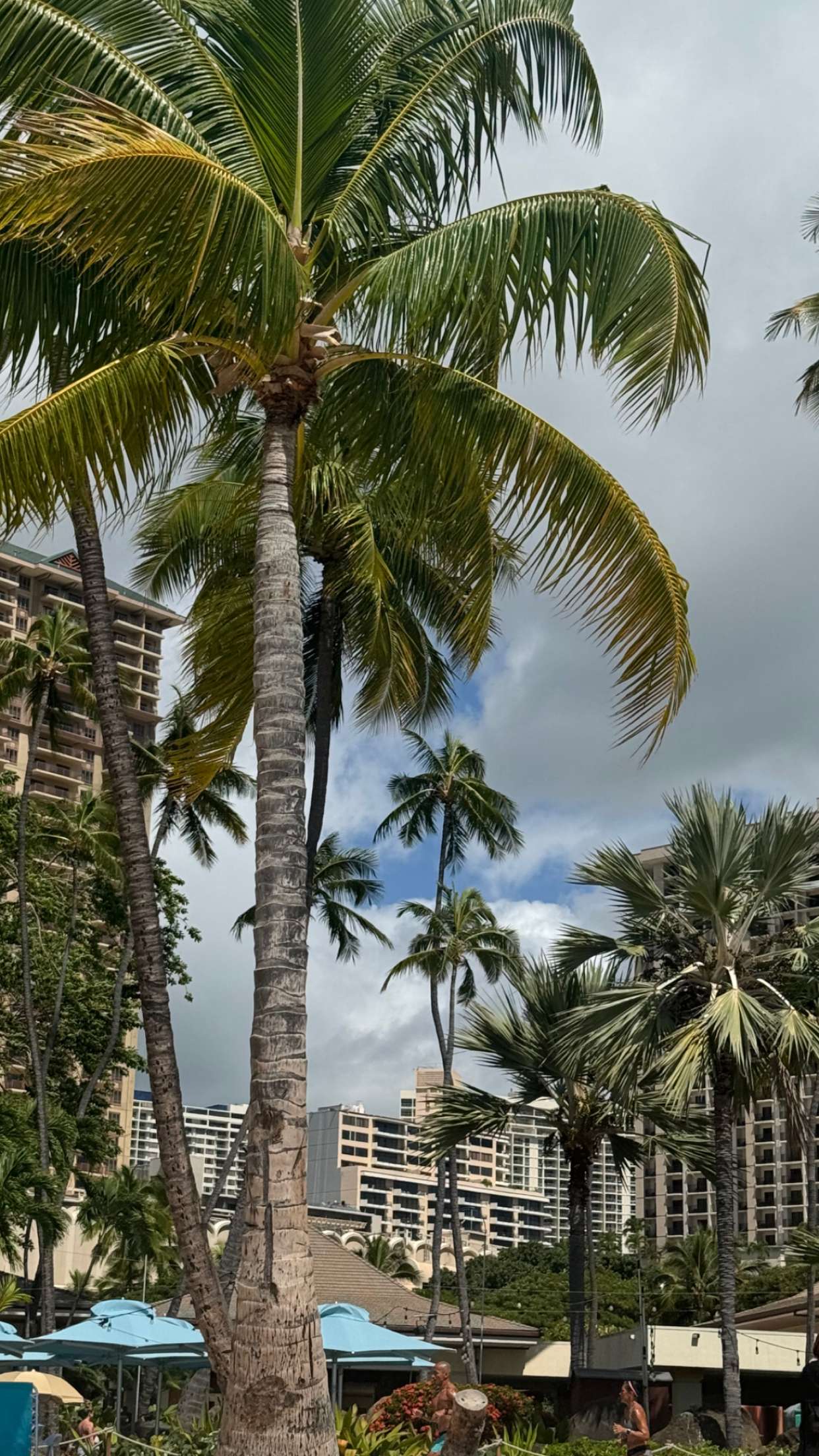 chloerosenbaum snapchat image archive image