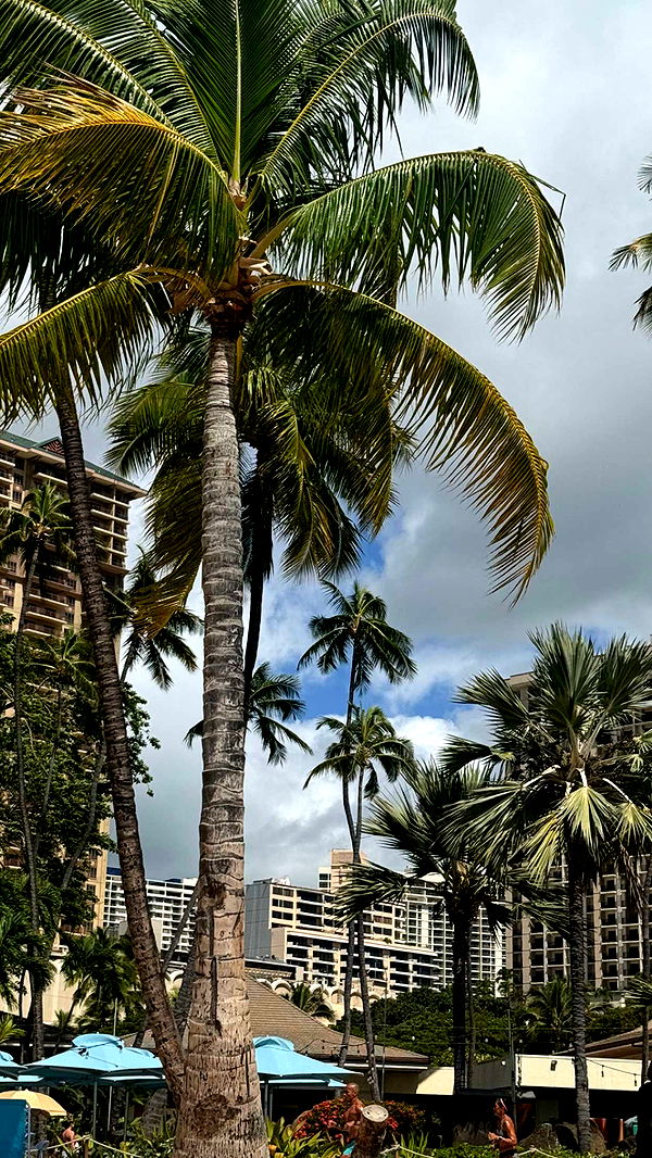 chloerosenbaum image ~ Altpins