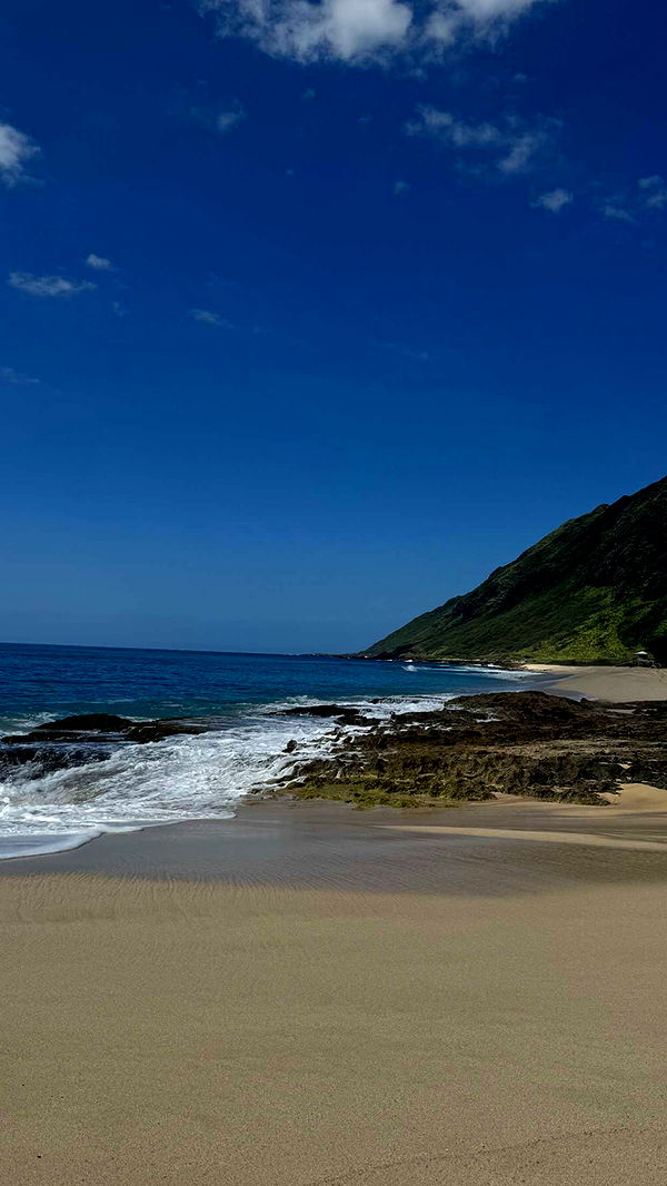 chloerosenbaum image ~ Altpins