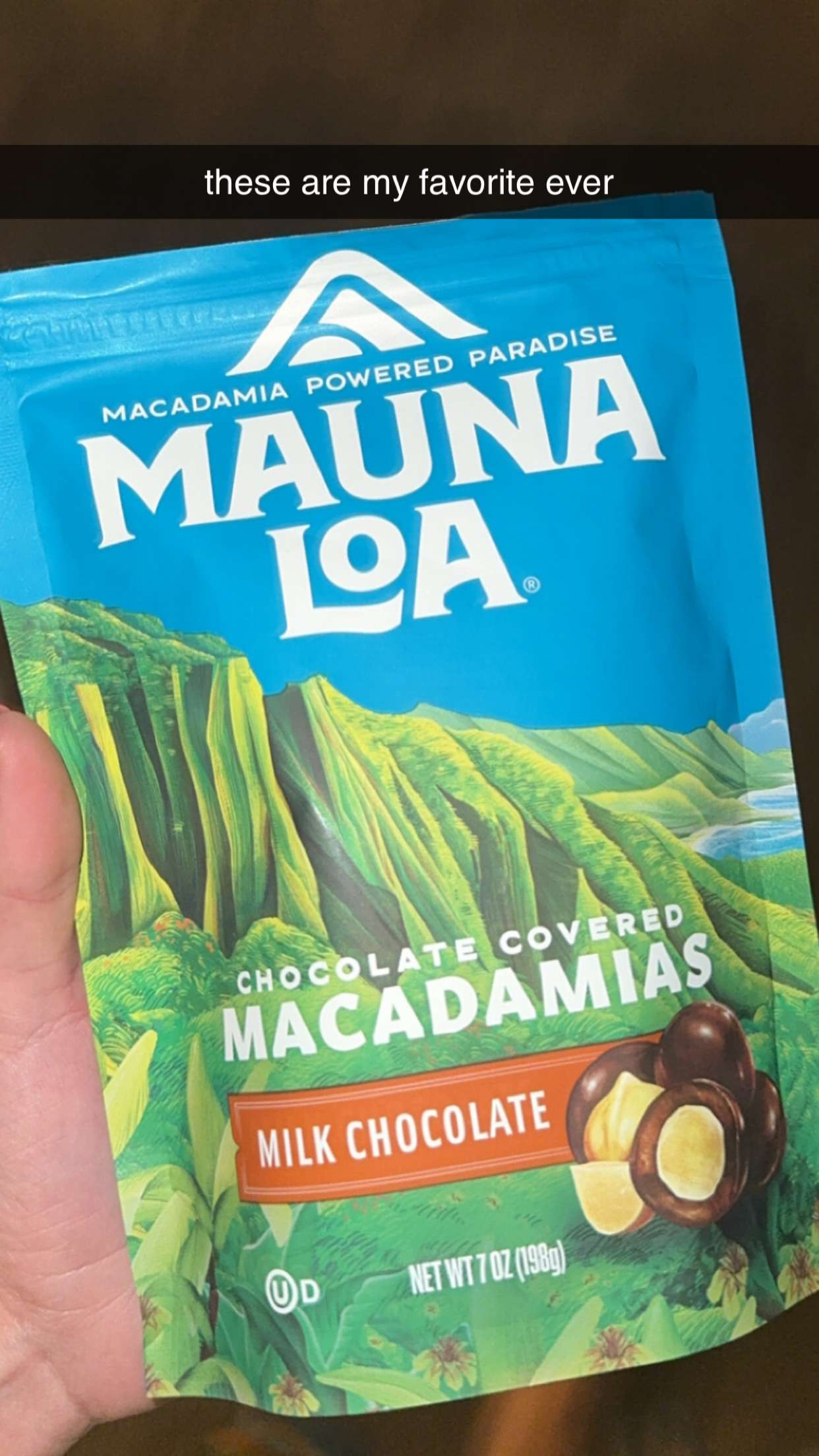 chloerosenbaum snapchat image archive image