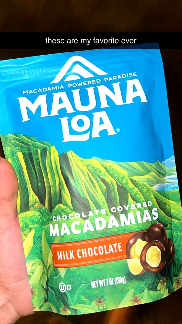 chloerosenbaum image ~ Altpins