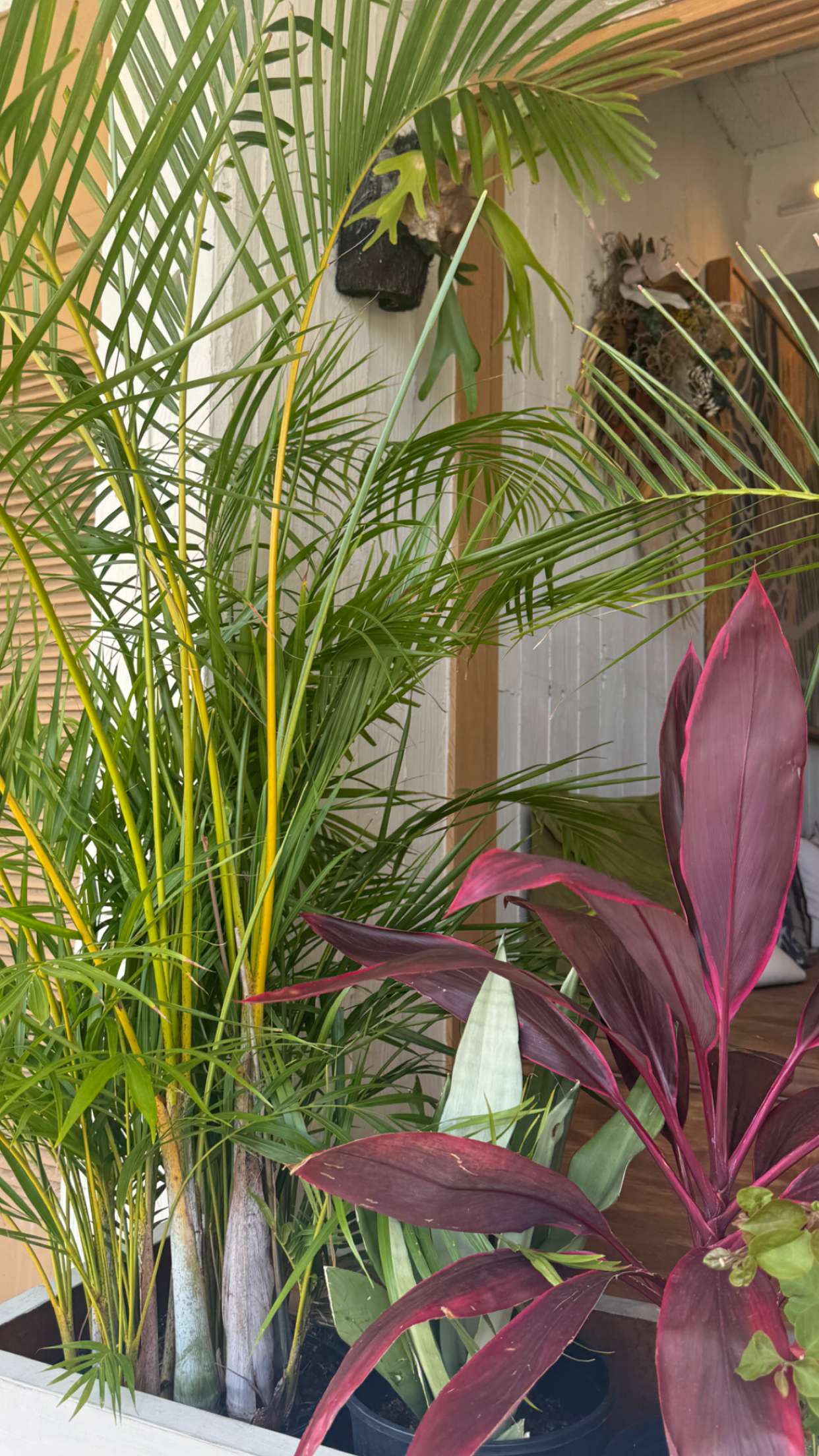 chloerosenbaum snapchat image archive image