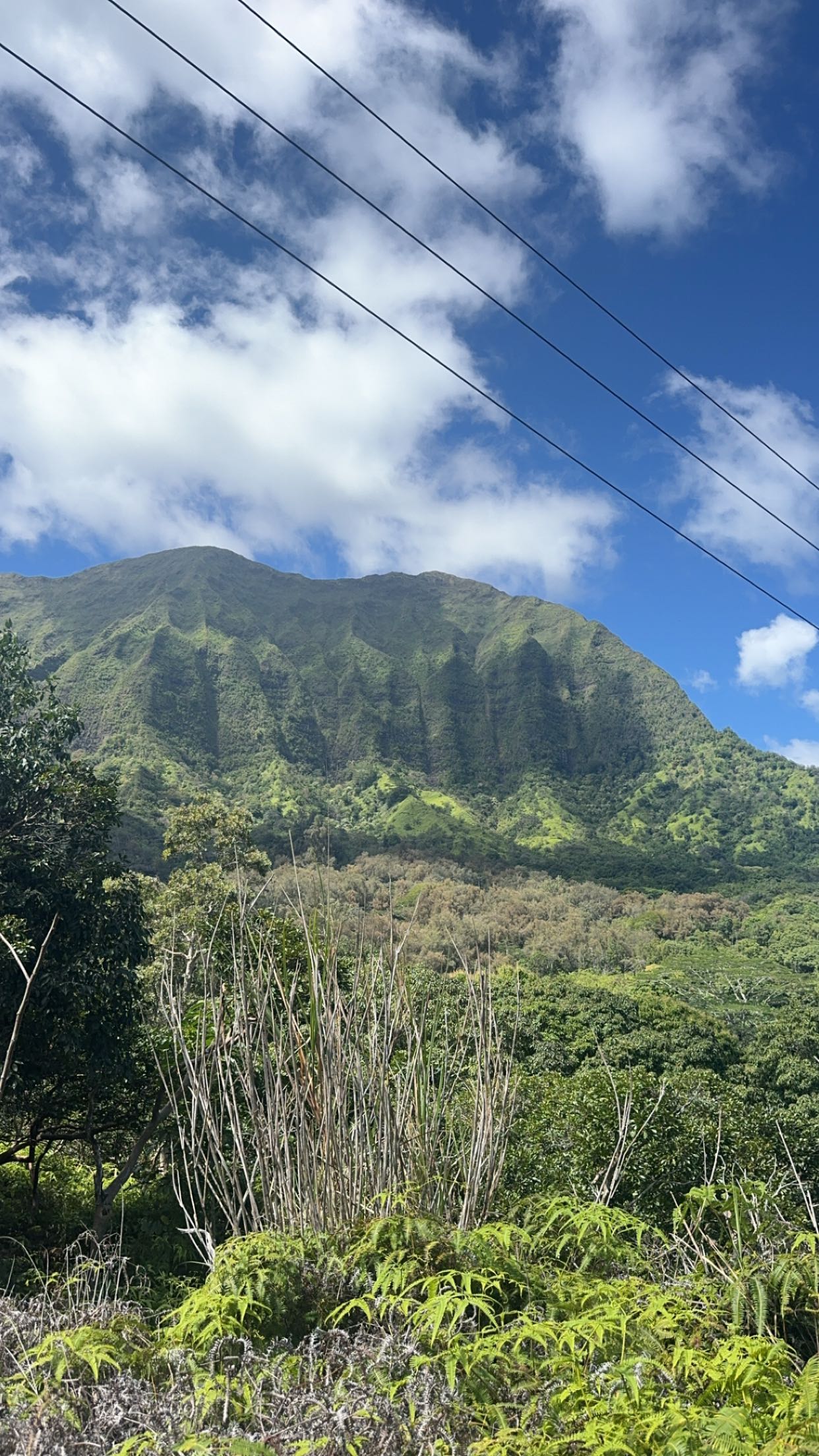 chloerosenbaum snapchat image archive image