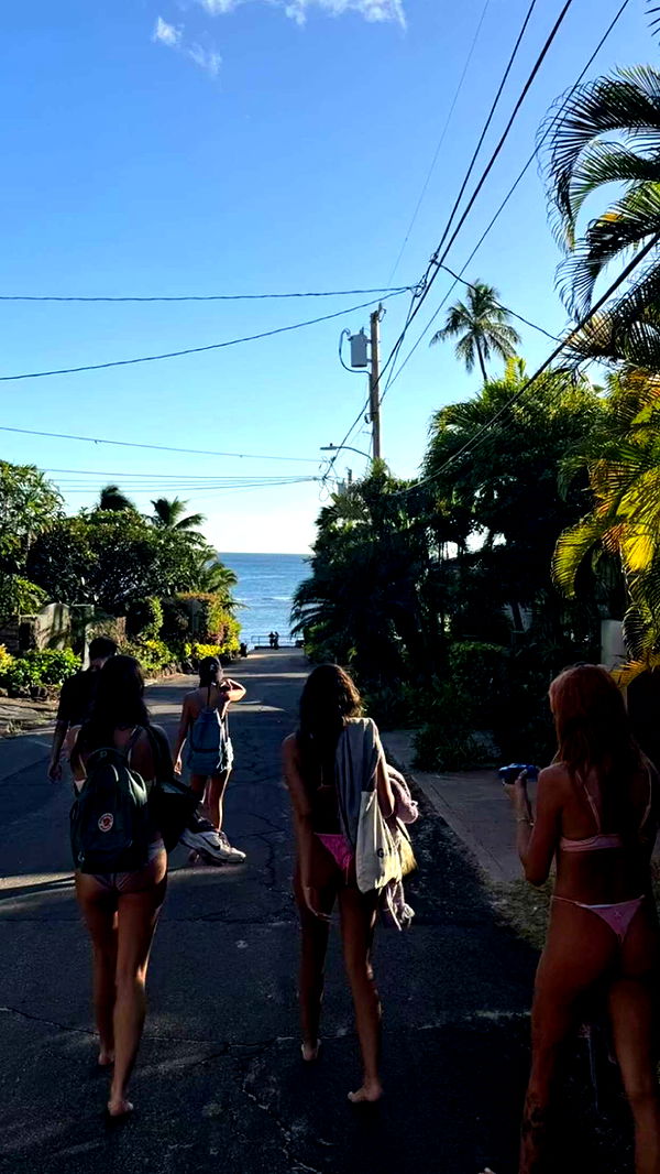 chloerosenbaum image ~ Altpins