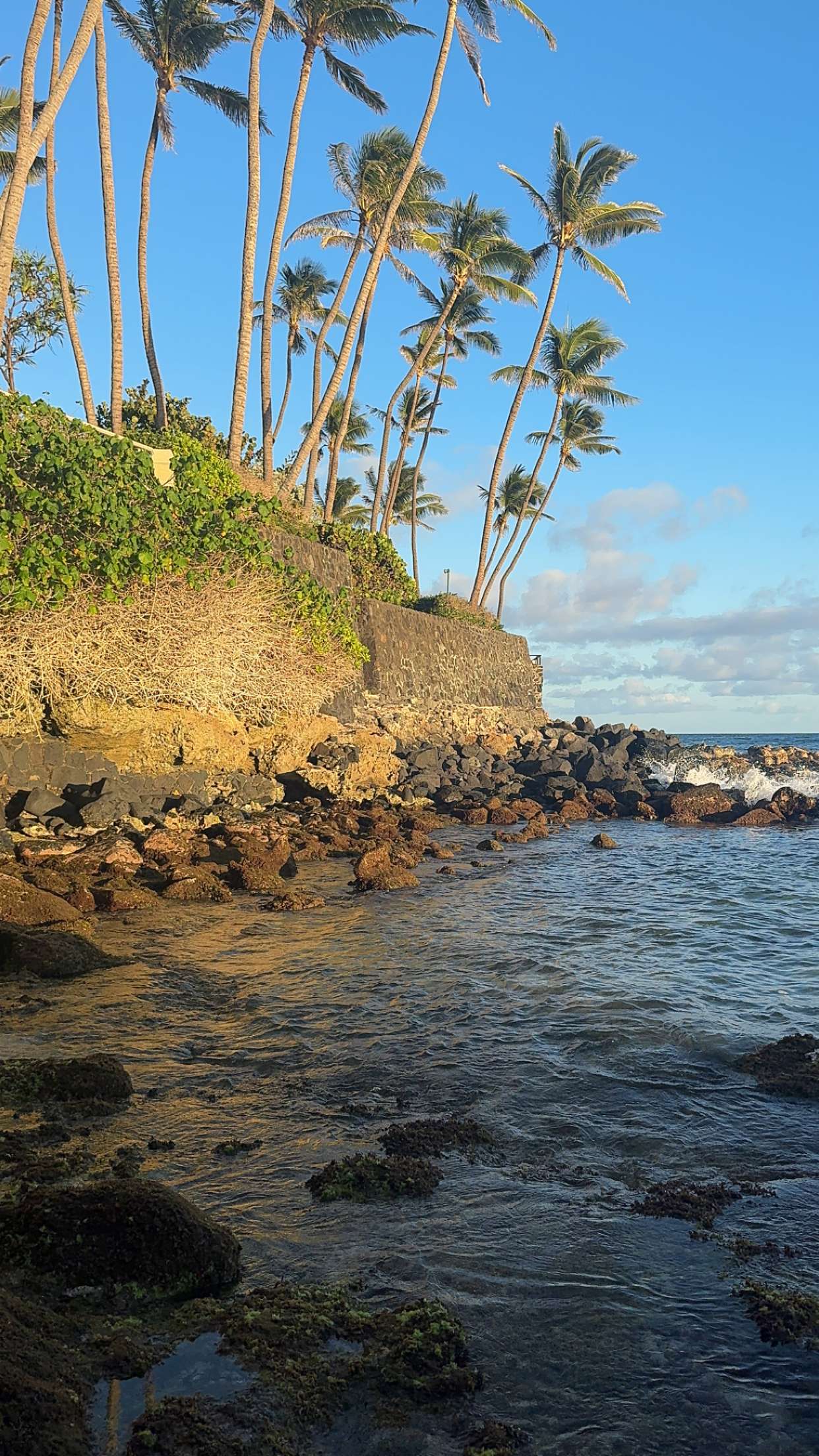 chloerosenbaum snapchat image archive image