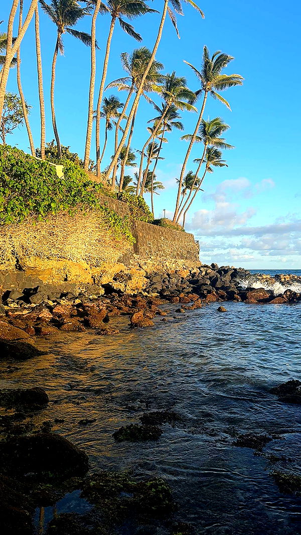 chloerosenbaum image ~ Altpins