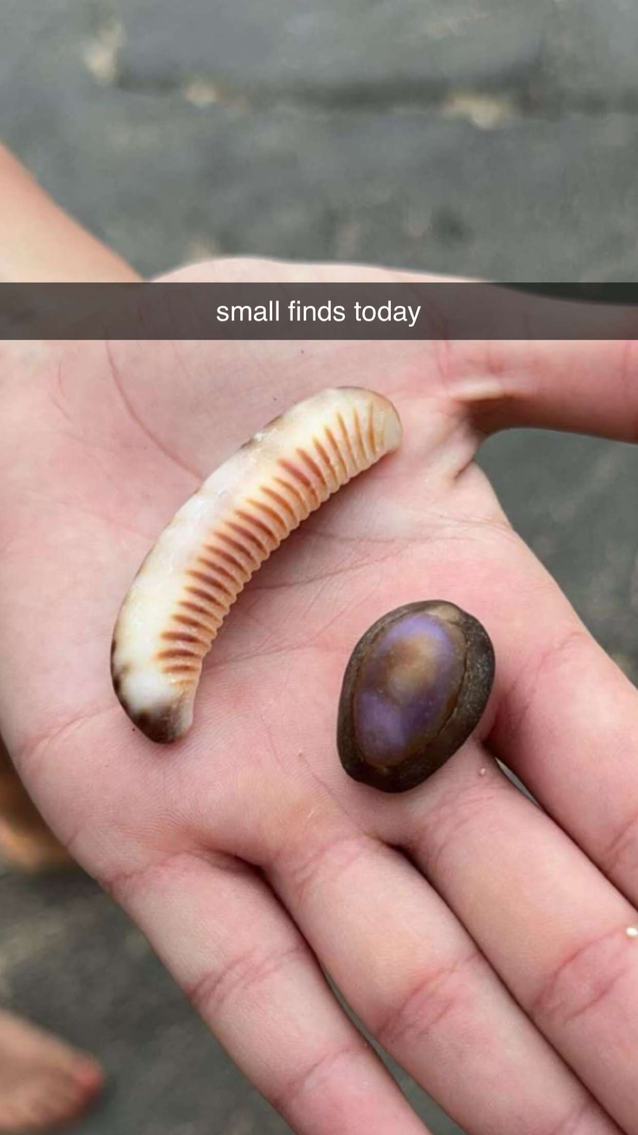 chloerosenbaum snapchat image archive image