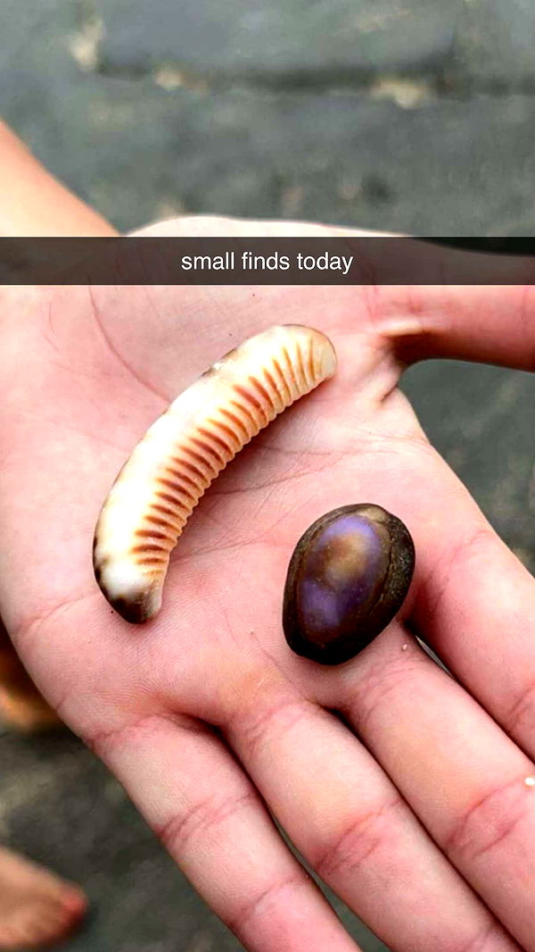 chloerosenbaum image ~ Altpins