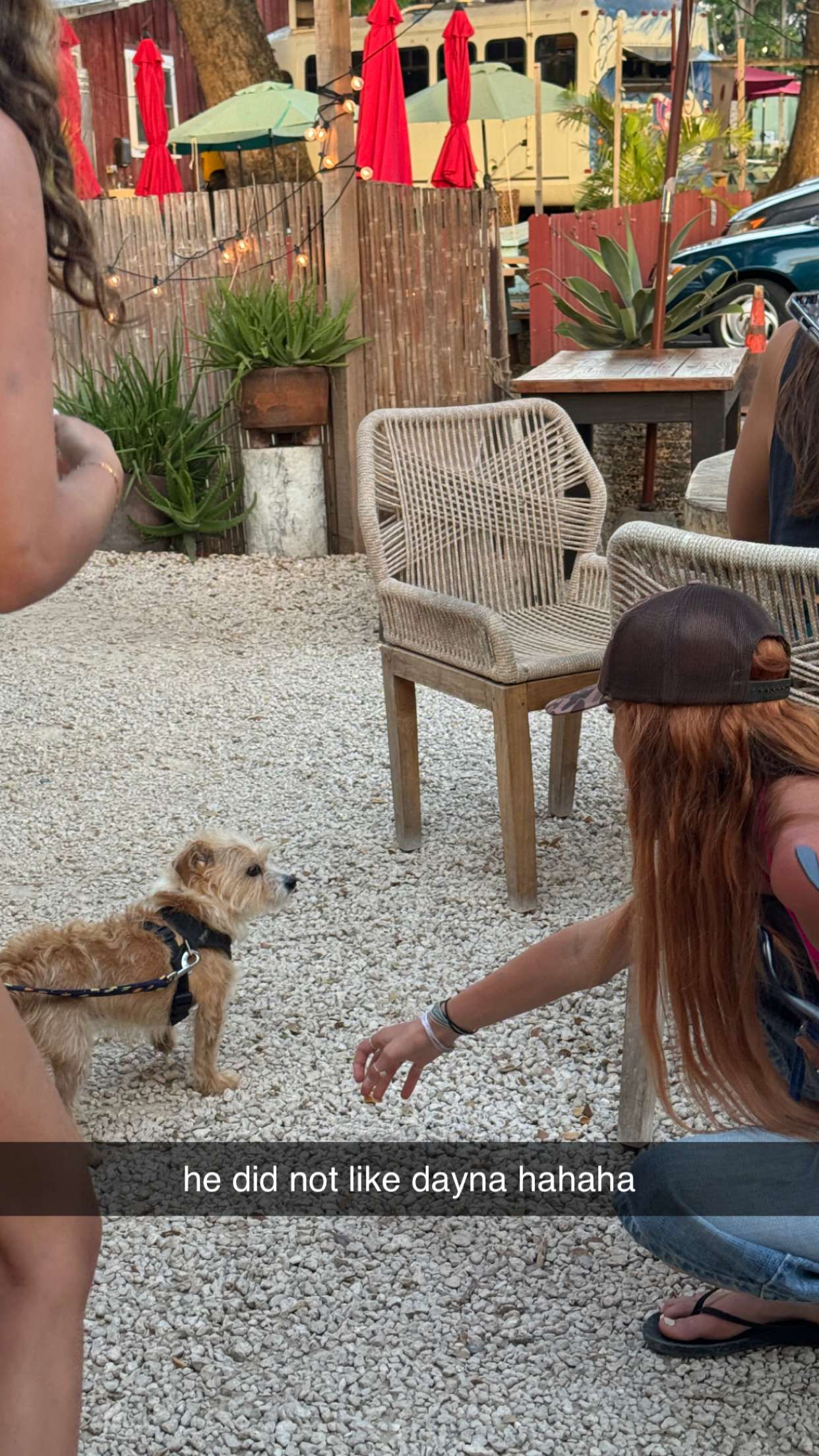 chloerosenbaum snapchat image archive image