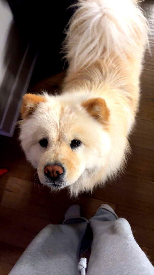 chloerosenbaum image ~ Altpins