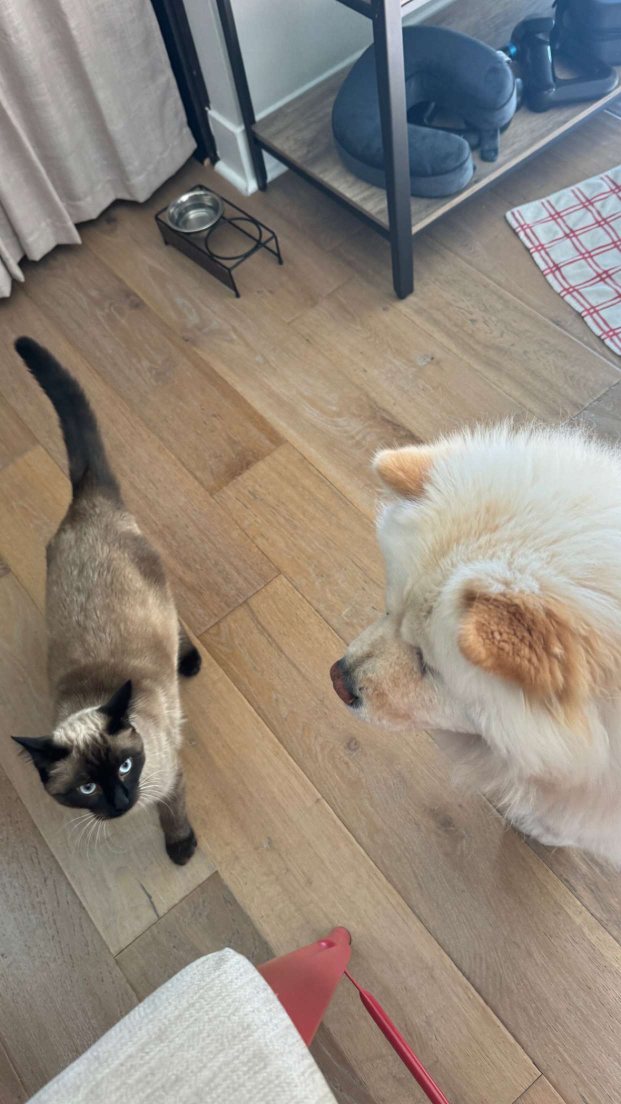 chloerosenbaum snapchat image archive image