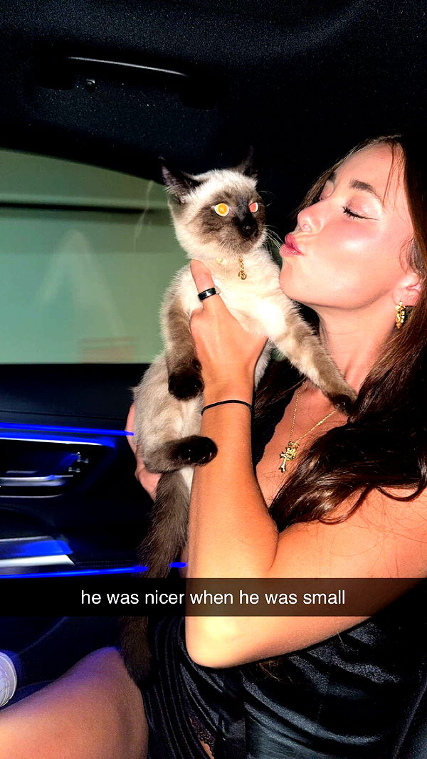 chloerosenbaum image ~ Altpins