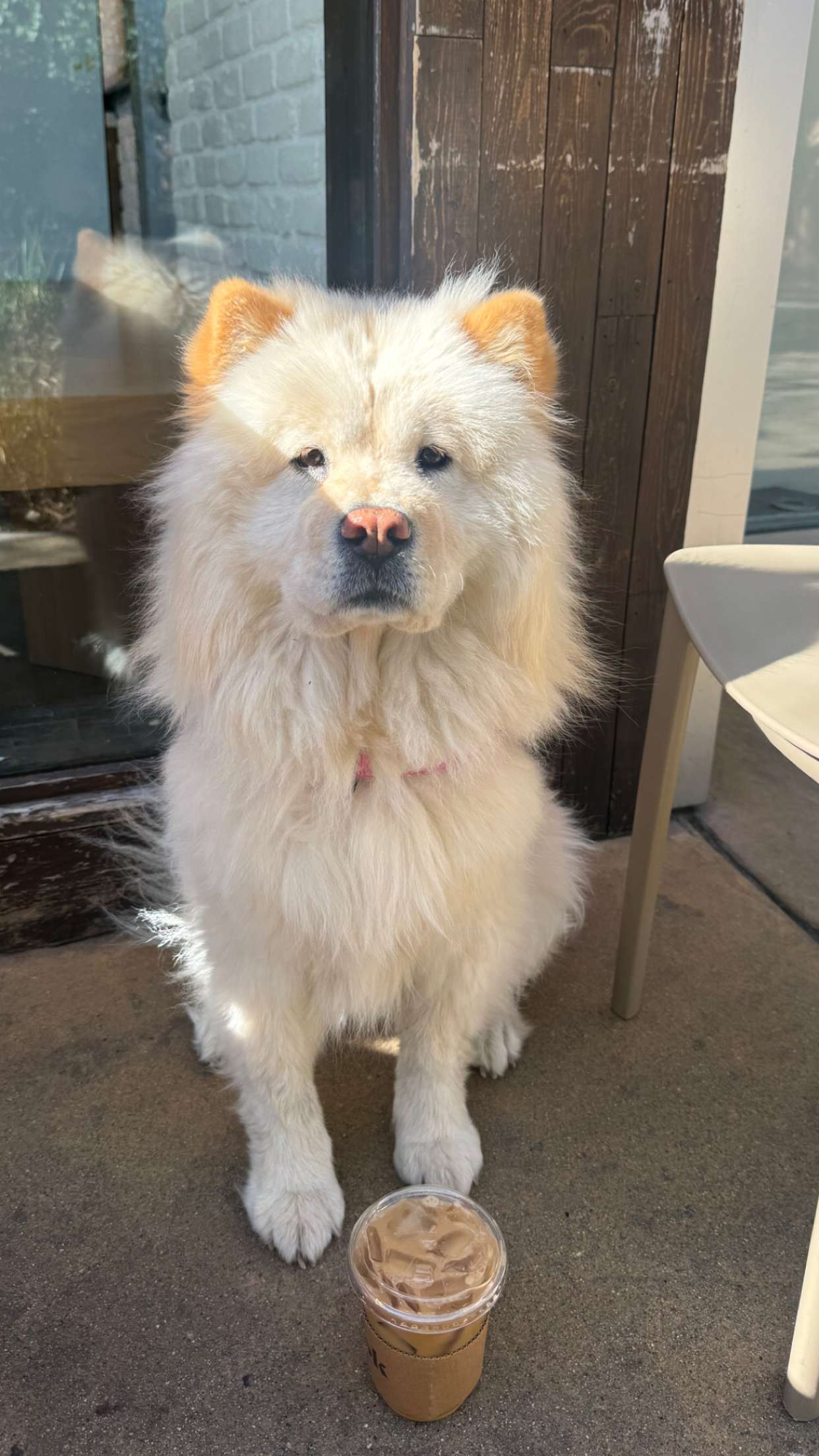 chloerosenbaum snapchat image archive image