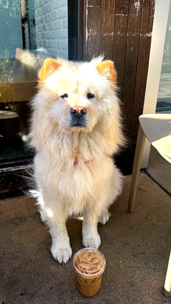 chloerosenbaum image ~ Altpins