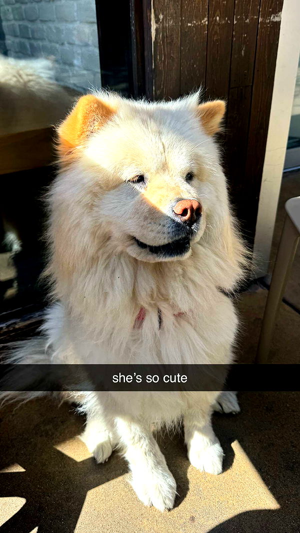 chloerosenbaum image ~ Altpins