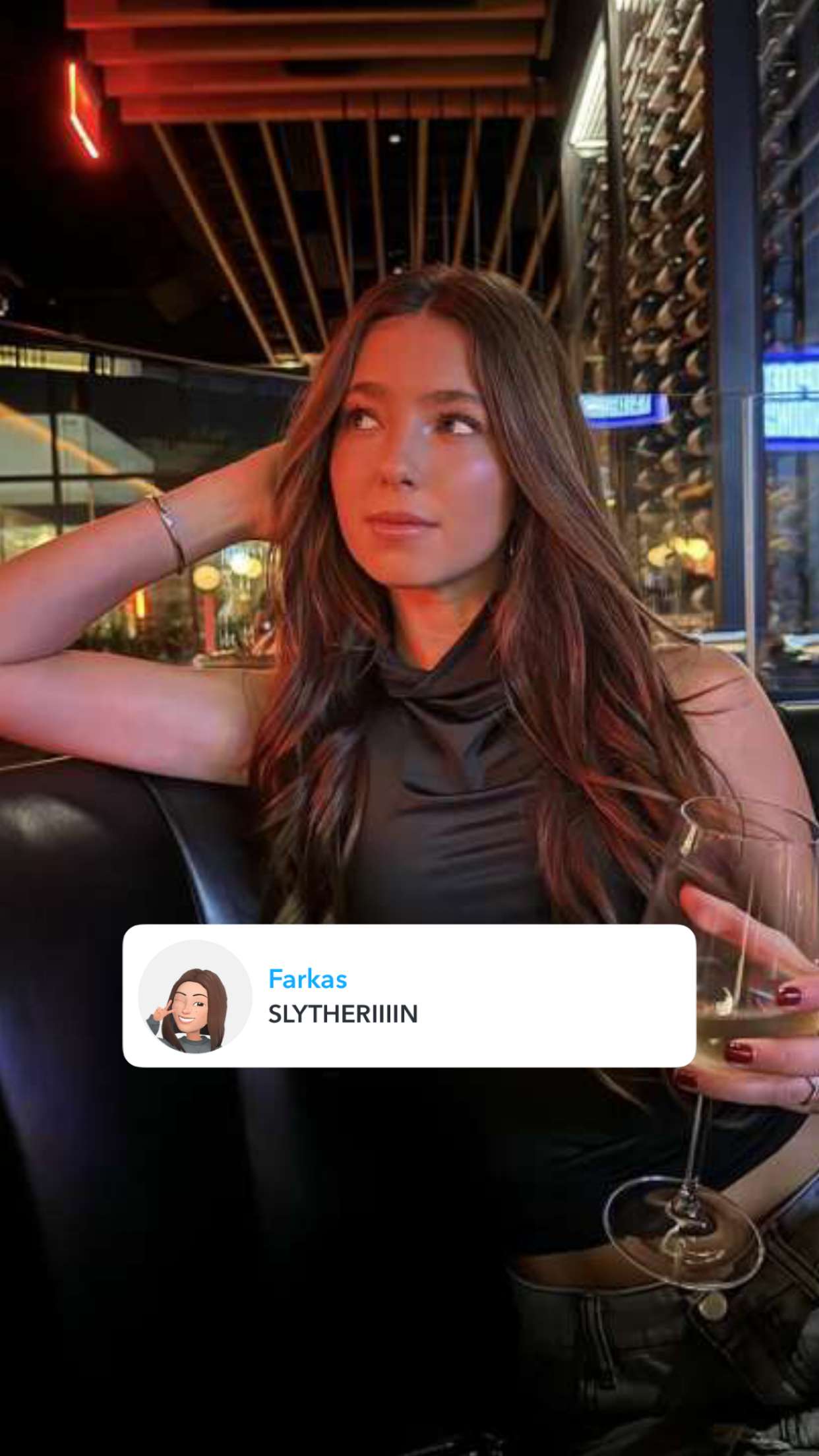 chloerosenbaum snapchat image archive image