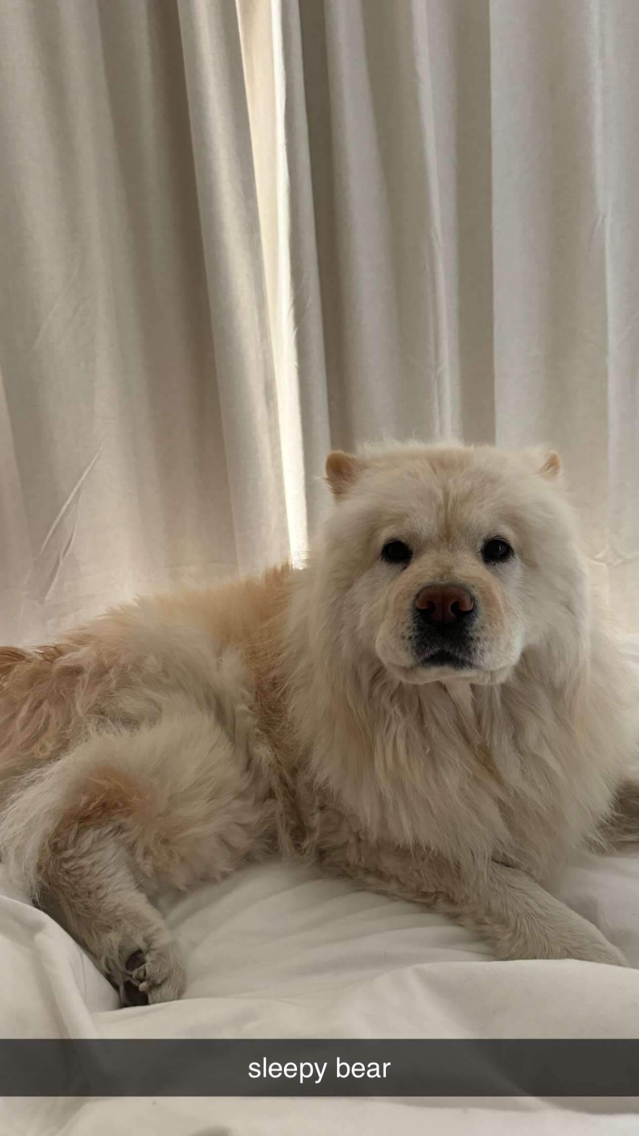 chloerosenbaum snapchat image archive image