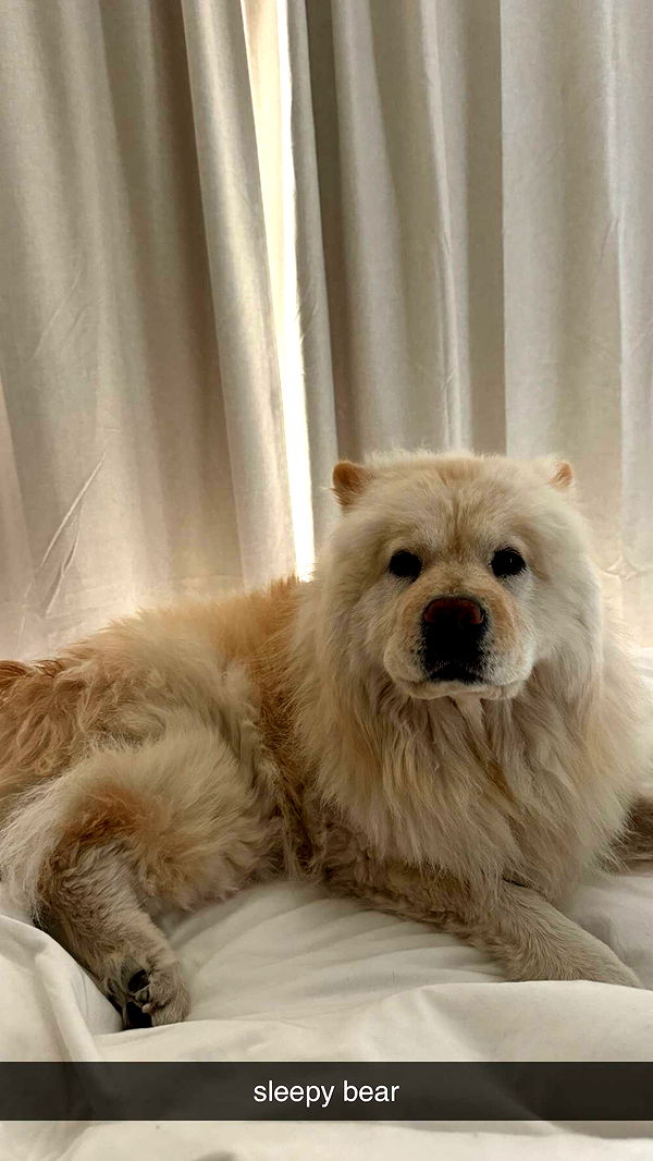 chloerosenbaum image ~ Altpins