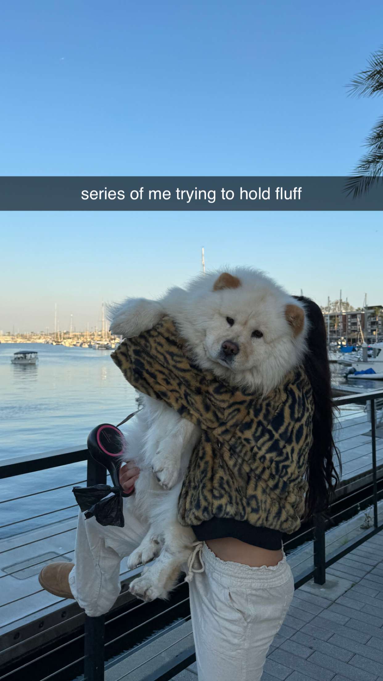 chloerosenbaum snapchat image archive image