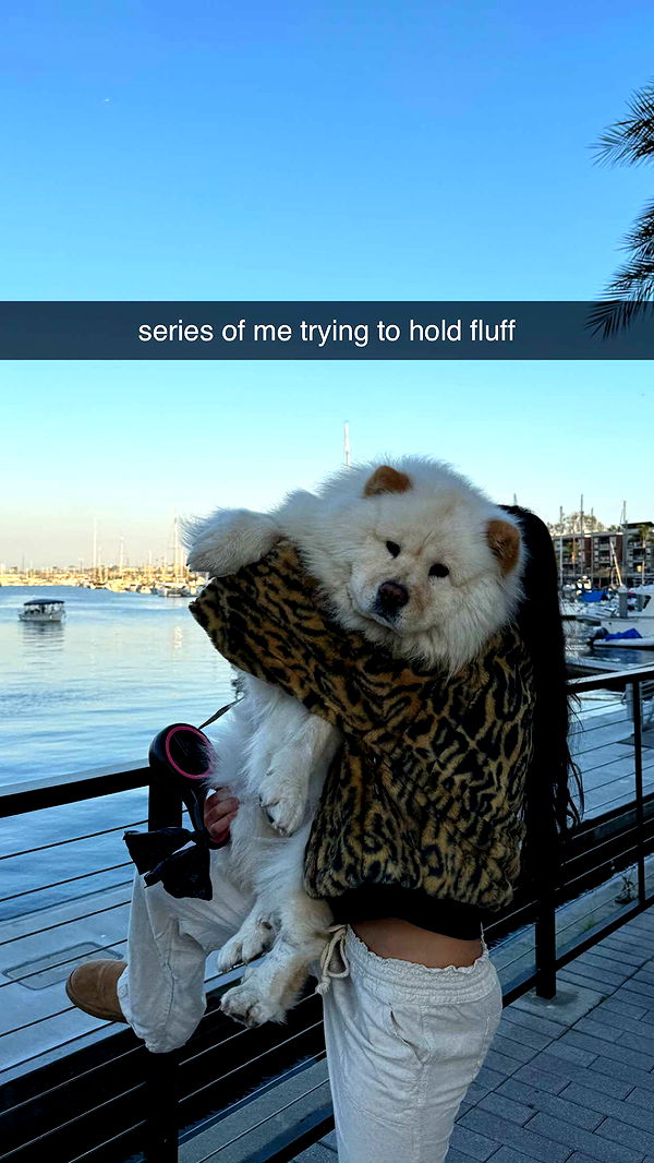 chloerosenbaum image ~ Altpins