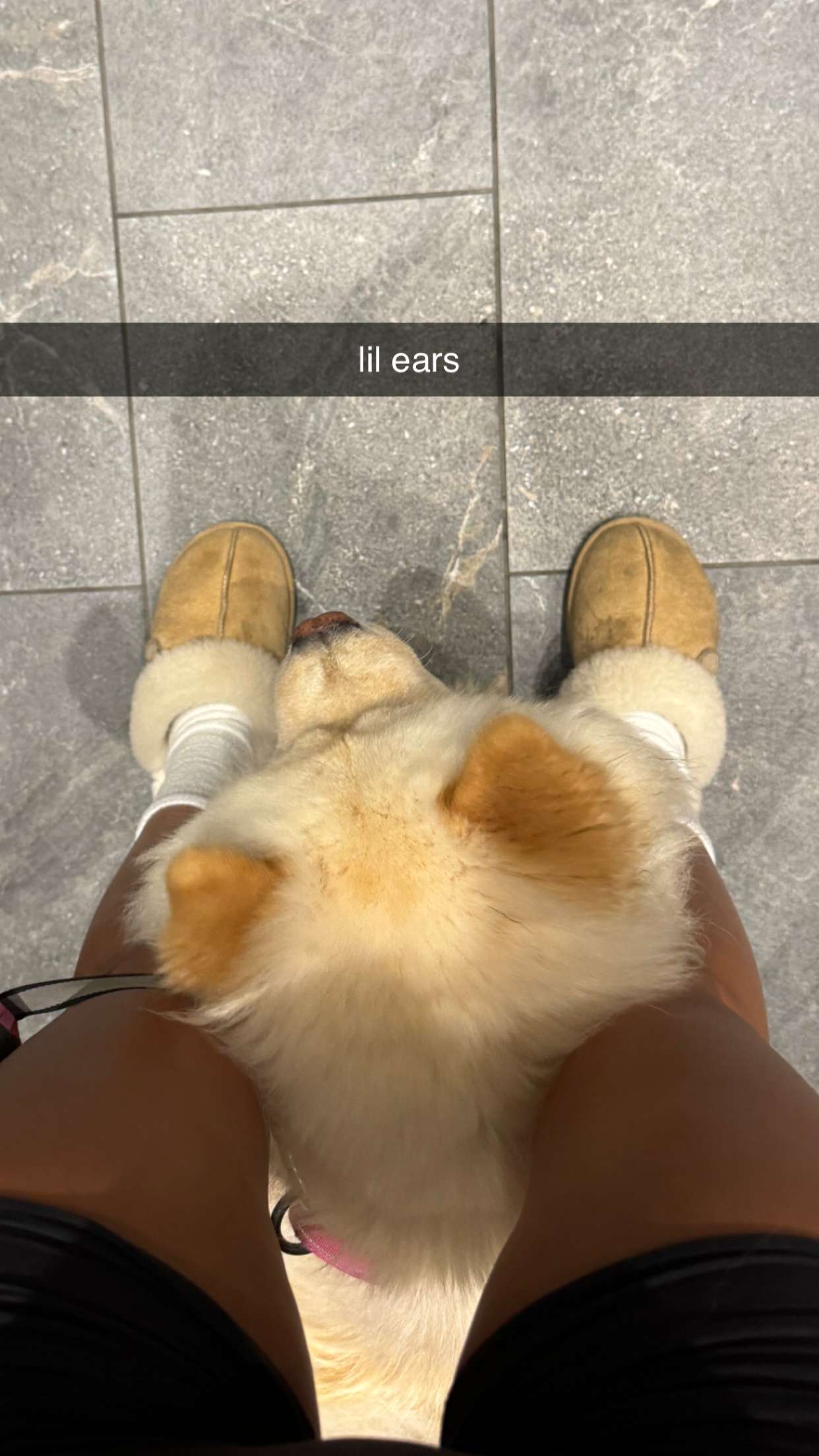 chloerosenbaum snapchat image archive image