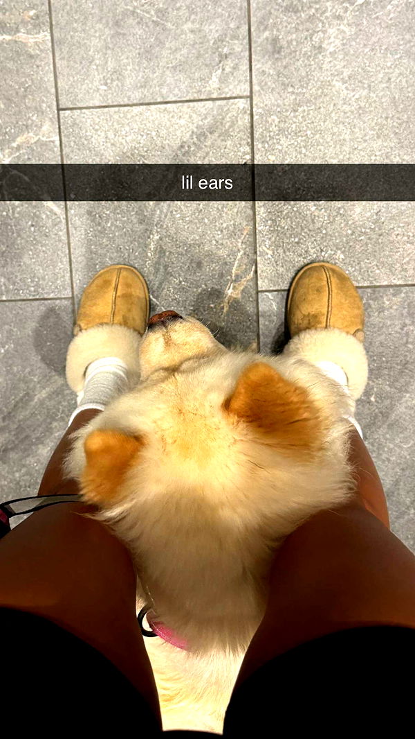 chloerosenbaum image ~ Altpins