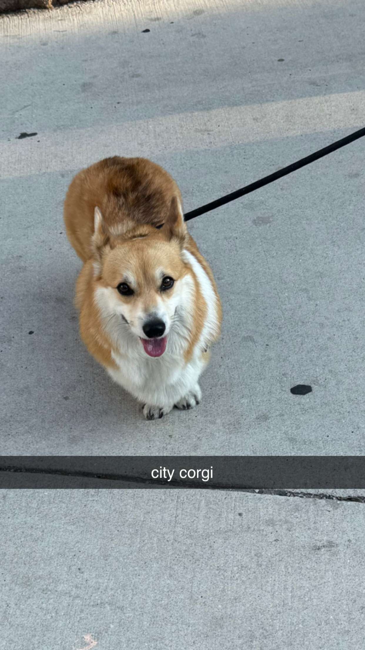 chloerosenbaum snapchat image archive image