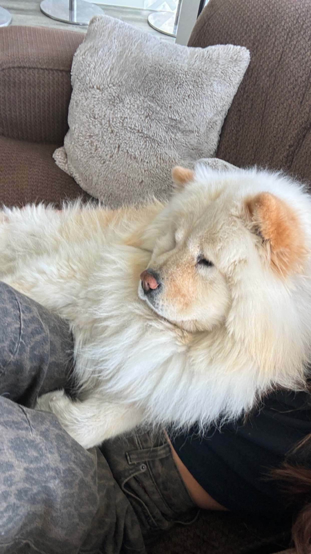 chloerosenbaum snapchat image archive image