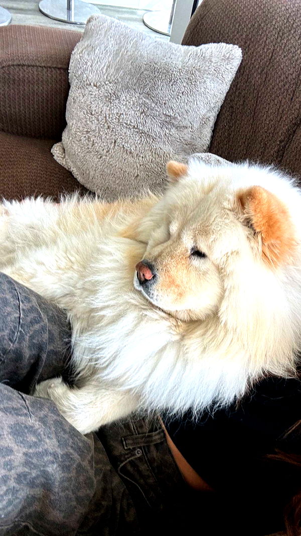 chloerosenbaum image ~ Altpins